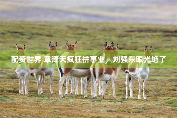 配资世界 章泽天疯狂拼事业,刘强东眼光绝了