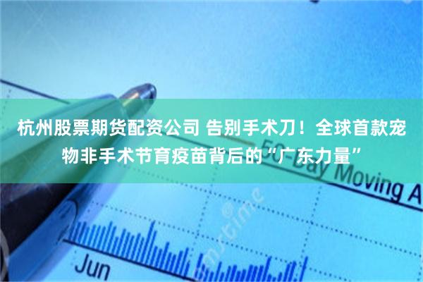 杭州股票期货配资公司 告别手术刀！全球首款宠物非手术节育疫苗背后的“广东力量”