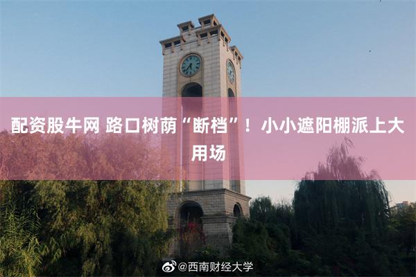 配资股牛网 路口树荫“断档”!小小遮阳棚派上大用场