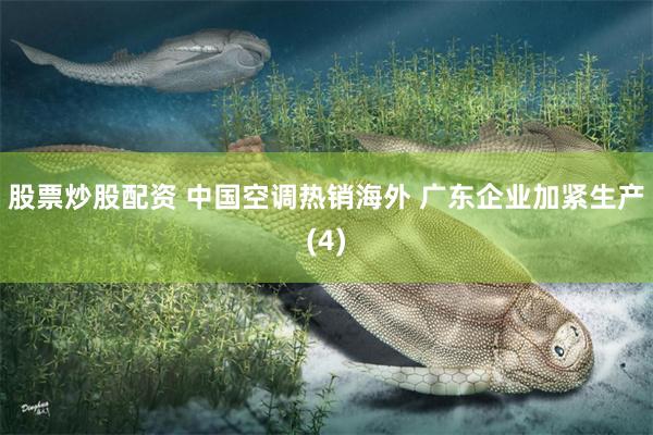 股票炒股配资 中国空调热销海外 广东企业加紧生产(4)