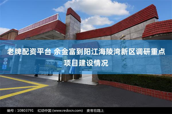 老牌配资平台 余金富到阳江海陵湾新区调研重点项目建设情况