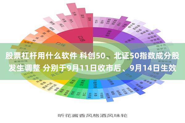 股票杠杆用什么软件 科创50、北证50指数成分股发生调整 分别于9月11日收市后、9月14日生效