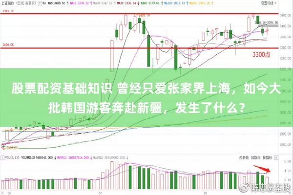 股票配资基础知识 曾经只爱张家界上海，如今大批韩国游客奔赴新疆，发生了什么？
