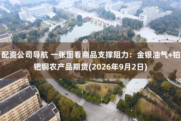 配资公司导航 一张图看商品支撑阻力：金银油气+铂钯铜农产品期货(2026年9月2日)