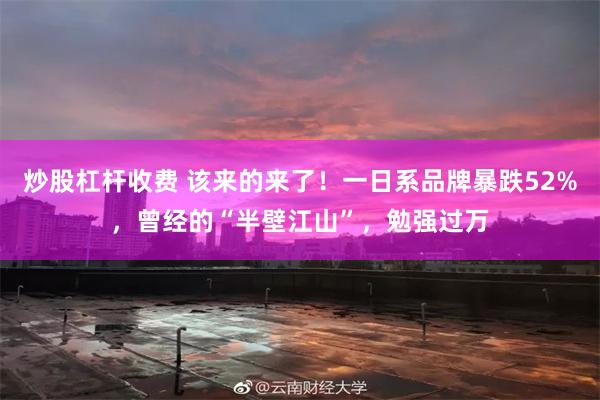 炒股杠杆收费 该来的来了!一日系品牌暴跌52%,曾经的“半壁江山”,勉强过万