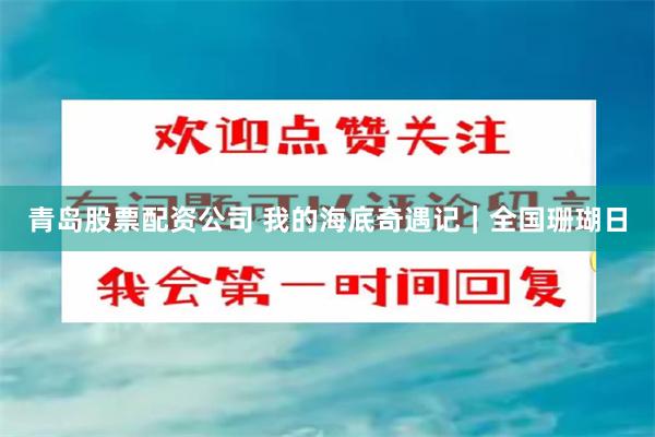 青岛股票配资公司 我的海底奇遇记｜全国珊瑚日