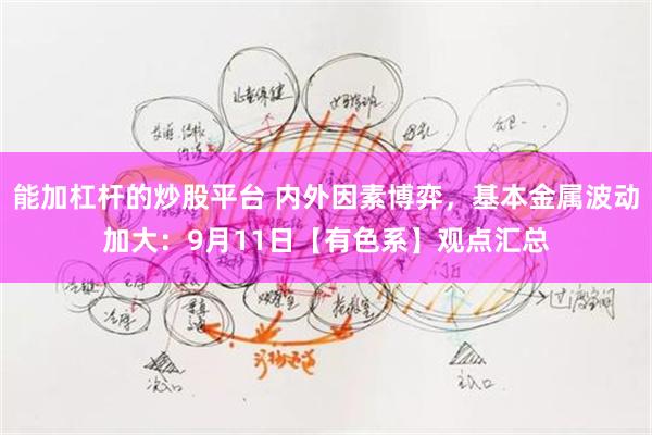 能加杠杆的炒股平台 内外因素博弈，基本金属波动加大：9月11日【有色系】观点汇总