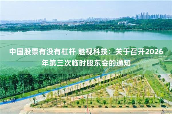 中国股票有没有杠杆 魅视科技：关于召开2026年第三次临时股东会的通知
