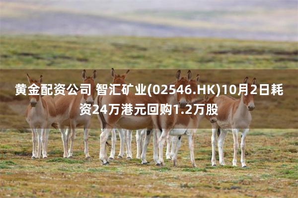 黄金配资公司 智汇矿业(02546.HK)10月2日耗资24万港元回购1.2万股