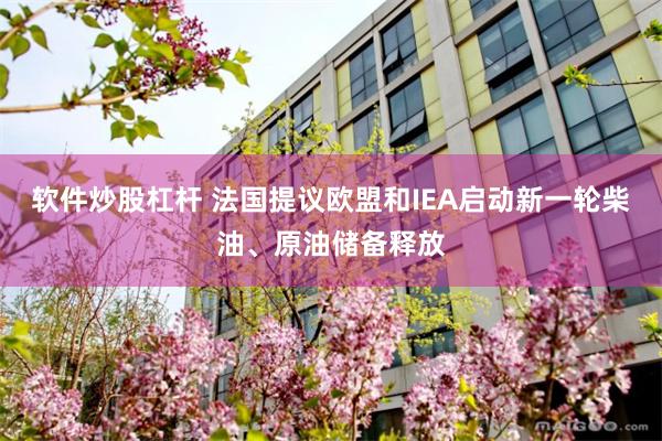 软件炒股杠杆 法国提议欧盟和IEA启动新一轮柴油、原油储备释放