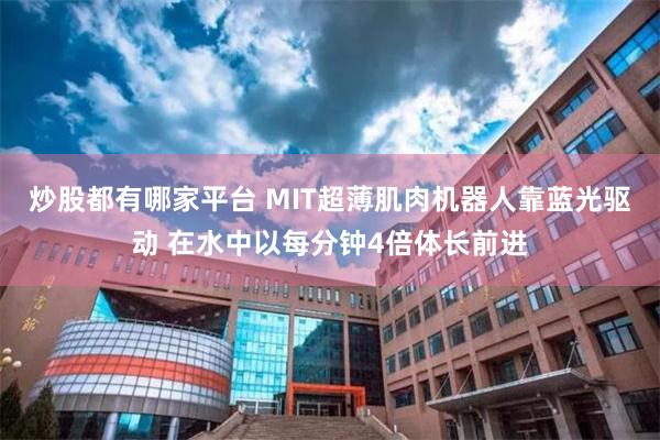 炒股都有哪家平台 MIT超薄肌肉机器人靠蓝光驱动 在水中以每分钟4倍体长前进