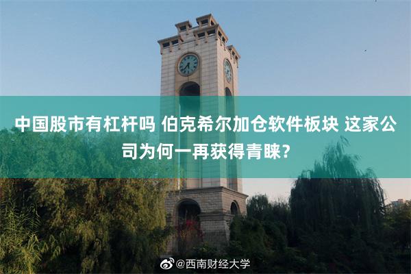 中国股市有杠杆吗 伯克希尔加仓软件板块 这家公司为何一再获得青睐?
