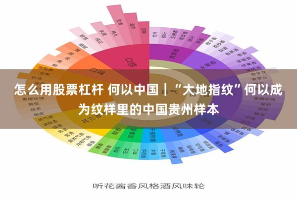 怎么用股票杠杆 何以中国｜“大地指纹”何以成为纹样里的中国贵州样本