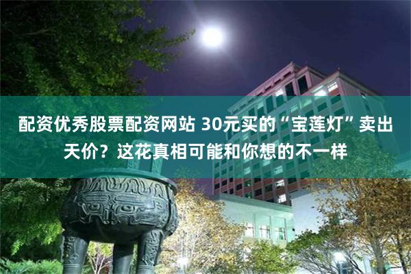 配资优秀股票配资网站 30元买的“宝莲灯”卖出天价？这花真相可能和你想的不一样